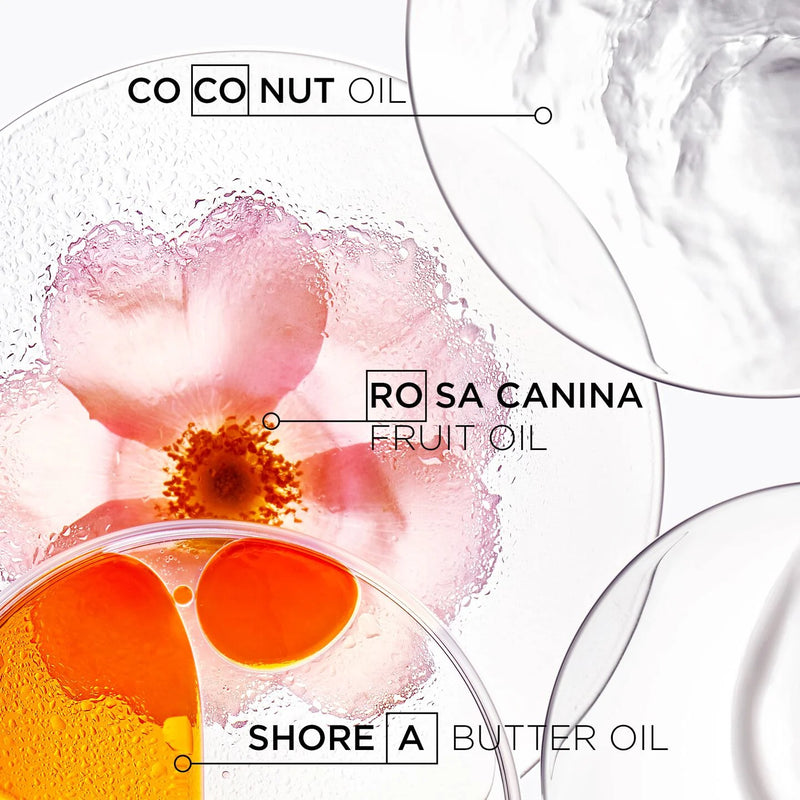 Microscopic view of coconut oil, rosa canina fruit oil, and shore a butter oil with labels.