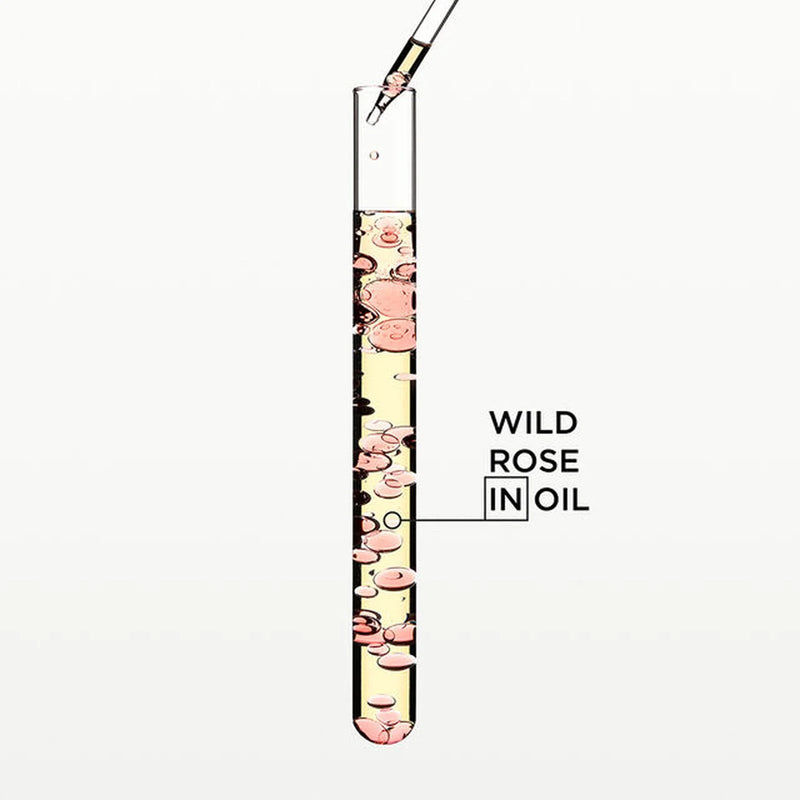 Test tube with flowers labeled 'Wild Rose in Oil' on a white background