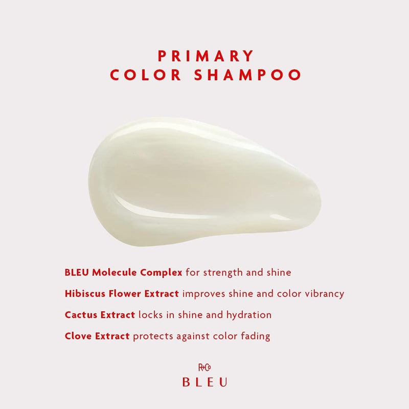R+CO BLEU Primary Color Shampoo Texture