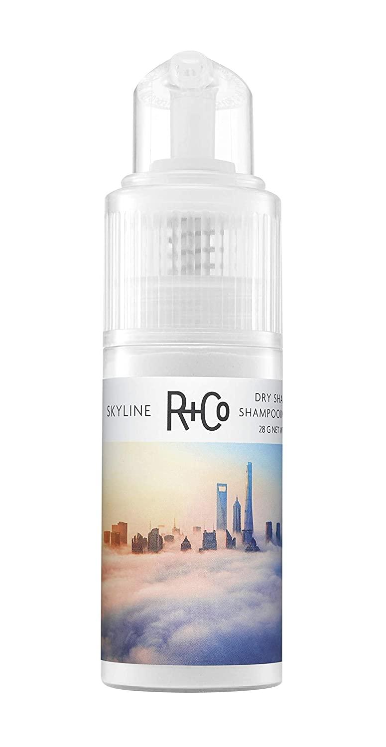 R+CO SKYLINE Dry Shampoo Powder
