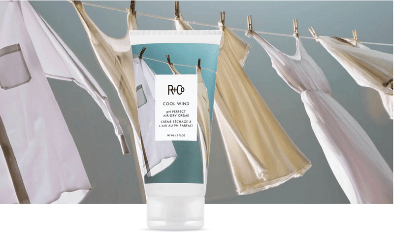 R+CO COOL WIND pH Perfect Air Dry Creme bIG