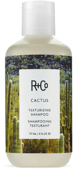 R+CO CACTUS Texturizing Shampoo x 177 ml
