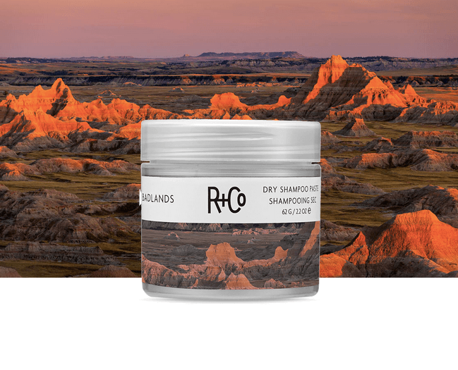 R+CO BADLANDS Dry Shampoo Paste Hair Products CANADA