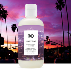 R+CO SUNSET BLVD Blonde Shampoo Canada